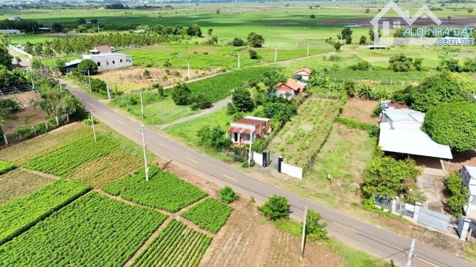 🍇Bán Lô Đất 9m Mặt tiền Đường Nam Kì Khởi Nghĩa TT Đất Đỏ - BRVT - 4