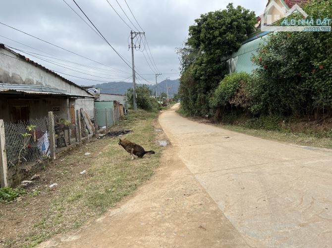 BÁN ĐẤT THỔ CƯ, MẶT TIỀN ĐƯỜNG LIÊN THÔN, NGAY UBND XÃ SƠ PAI, 336M2, GIÁ 490 TRIỆU - 4