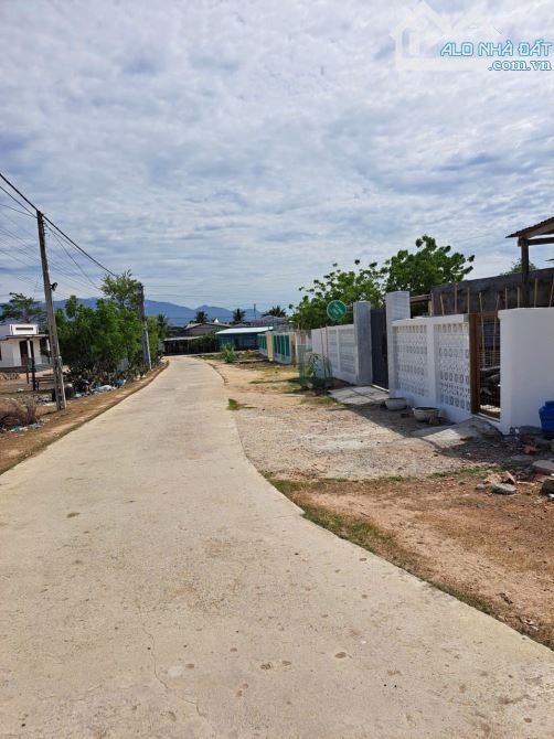 🏡 CHỈ 1 TỶ 750 TRIỆU – SỞ HỮU NGAY LÔ ĐẤT GẦN 600m² KÈM NHÀ CẤP 4! PHAN RANG NINH THUẬN - 5