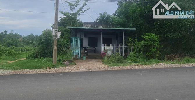 bán đất 8x56 nở hậu 9m MT lý nam đế, Tân Phước, Thị Xã LaGi, BÌnh Thuận .Giá 2,3 tỷ - 5