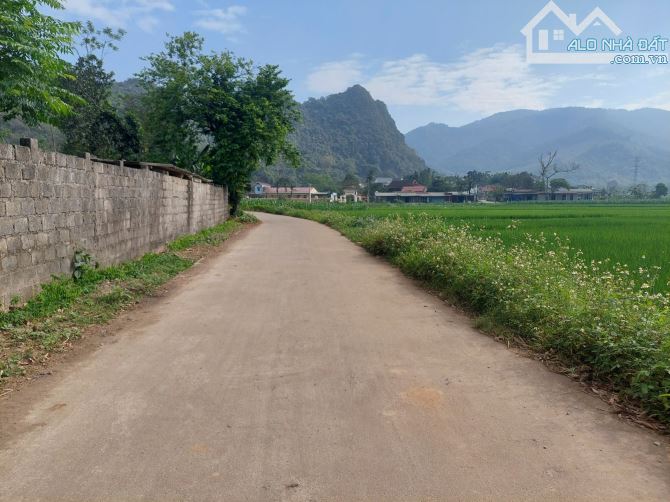 CẦN BÁN LÔ ĐẤT 99,6M FULL TC VIEW CÁNH ĐỒNG CỰC ĐẸP - 5