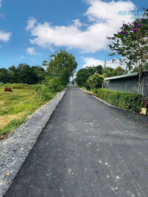 CẦN TIỀN XOAY VỐN ÔNG ANH BÁN GẤP 132M2 ĐẤT Ở PHẠM THỊ THÀNG PHƯỚC HIỆP CỦ CHI GIÁ 450TR - 5