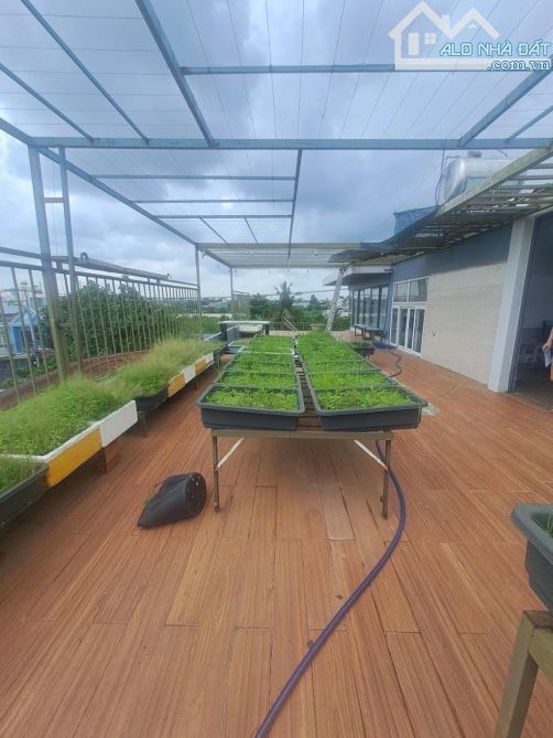 Biệt thự sân vườn 10x23m, An Phú Đông, Q.12 - 7