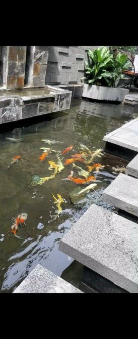 BÁN BIỆT THỰ VEN SÔNG SÀI GÒN - ĐƯỜNG BÌNH LỢI, P.13, BÌNH THẠNH 200m2, 25 tỷ TL - 7