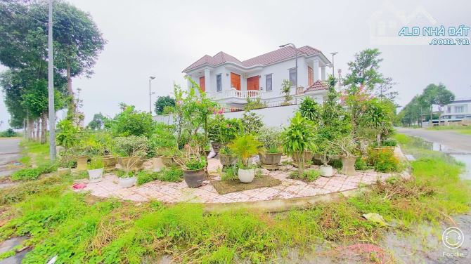 Cho thuê đất 100 m2 góc 2 mặt tiền KDC Thiên Lộc 3,5 triệu - 7