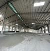 Cho Thuê 3.500m2 Nhà Xưởng Mới Trong KCN Thủ Dầu Một Bình Dương