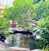 SIÊU PHẨM MẶT TIỀN NGUYỄN DU – DT KHỦNG 405M² - CÓ DÒNG TIỀN - ĐẦU TƯ CỰC ĐỈNH - CHỈ 4X TỶ