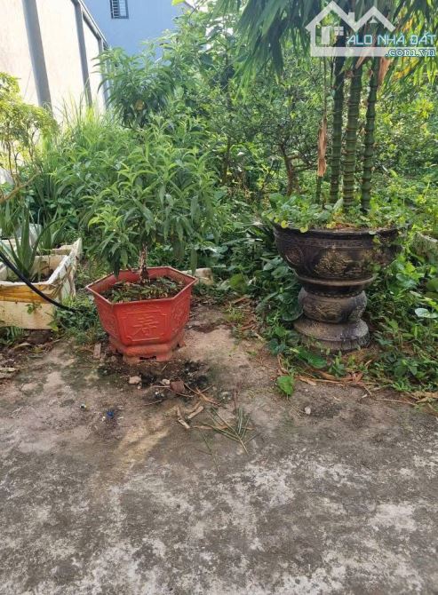 1ty5 Cần bán lô đất 110m2 gần phố đi bộ tại Hòa Mạc - Duy Tiên Hà Nam