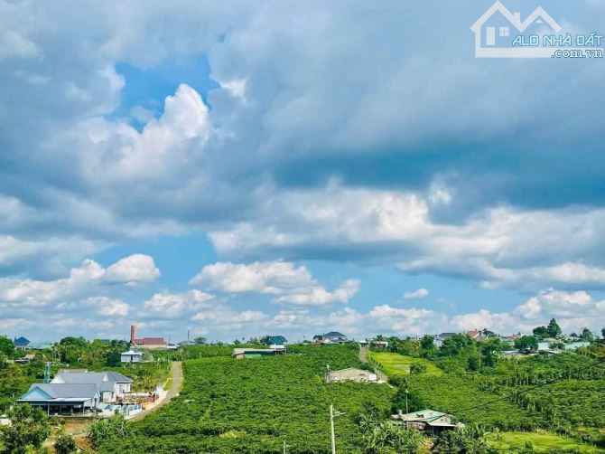 Chính chủ gửi bán lô đất thôn 4 Lộc Quảng