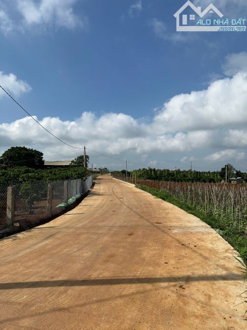 CHỦ GỬI BÁN ĐẤT ĐẸP TẠI LIÊN HIỆP - ĐỨC TRỌNG - LÂM ĐỒNG cách sân bay Liên khương 3km