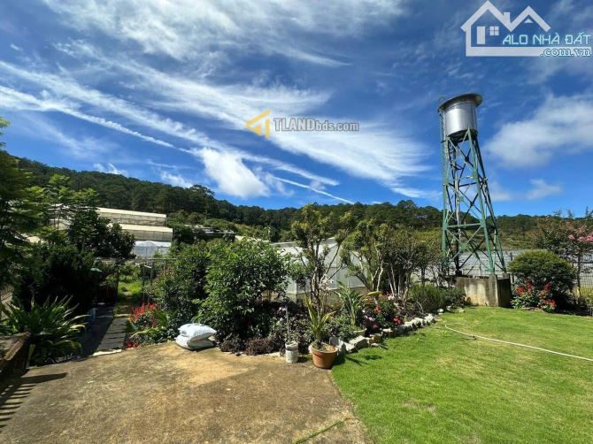 Bán nhà đất Đà Lạt, mặt tiền Triệu Việt Vương, view đẹp, góc 2 mặt tiền thoáng 1135m2 33ty