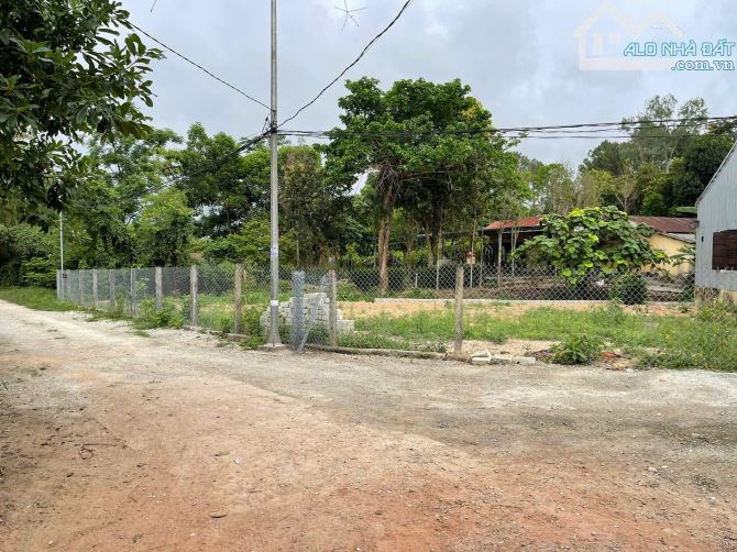 🔥🔥🔥🔥🔥 CHÍNH CHỦ gửi bán lô đất 500m3 đường THIÊN THAI - GIÁ RẺ NHẤT THỊ TRƯỜNG