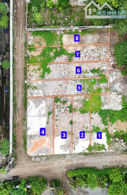 2,1Tỷ/Lô🔥Bán 4 lô đất 4 sổ mới tách, cách chợ Dĩ An 1 chỉ 1,5Km, p.Tân Đông Hiệp, Dĩ An