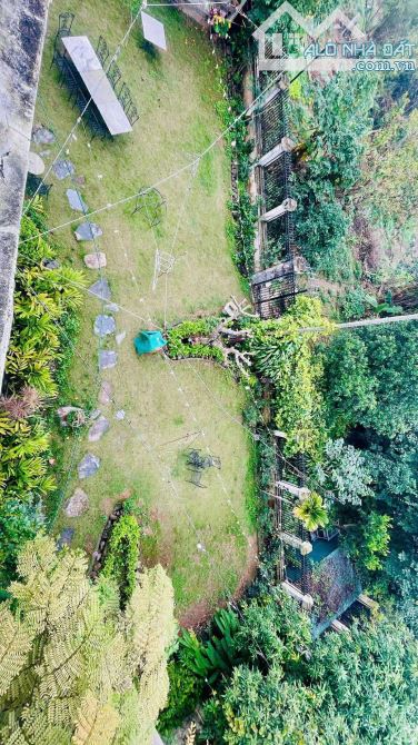 Bán Biệt thự Ngọc Thụy Long Biên view Sông 155 tỷ 1330m,4 tầng, Kinh Doanh, Ô Tô, MT 40m,