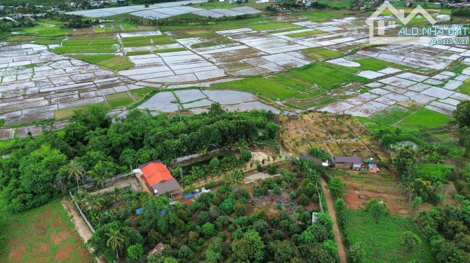 đất sào mát mẻ quanh năm view ruộng trung tâm Cư Suê khu dân cư đông đúc