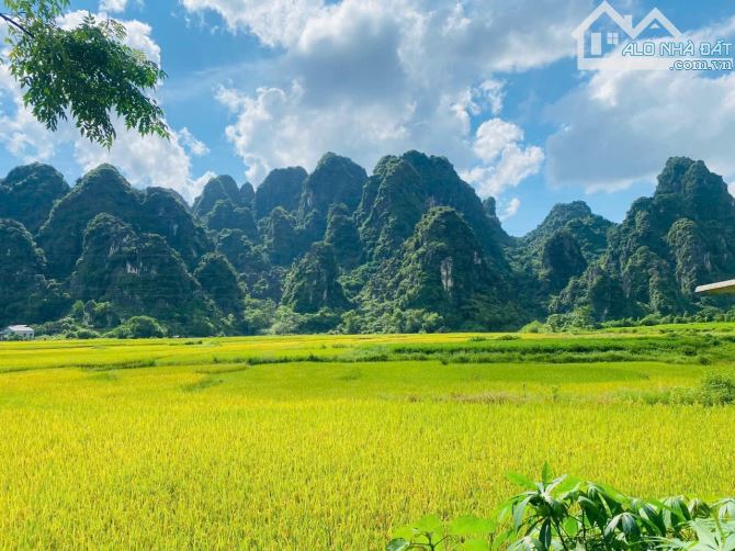 CHỈ 1,x TỶ SỞ HỮU NGAY LÔ ĐẤT DT 300m2 VIEW CÁNH ĐỒNG NÚI ĐÁ TRIỆU ĐÔ, SÁT QH VĐ5