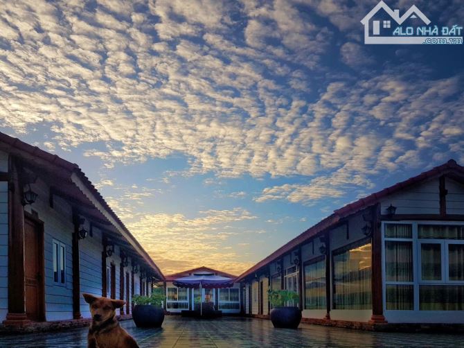 Bán biệt thự lê hồng phông p8 thành phố vũng tàu - 10