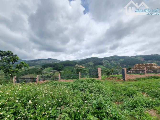 Cần bán lô đất Tà Nung thành phố Đà Lạt - 2