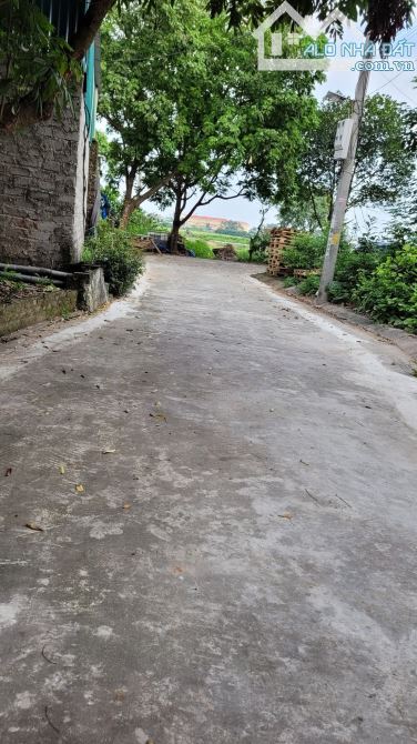 Bán nhà khu Phân Lô Phúc Am, Duyên Thái _60m2*4 tầng _ chào 6.6 tỷ - 1