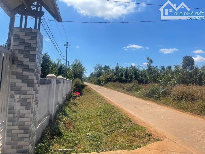 5x30m ĐẤT THỔ CƯ NGAY GẦN UBND XÃ EADRONG ĐƯỜNG BETONG 12m - 1