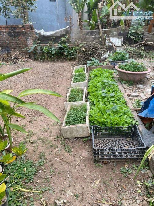 Bán đất Thượng Cát 34m2, đất đẹp mặt tiền rộng, nở hậu không lỗi, ô tô gần giá 3,75 tỷ - 1