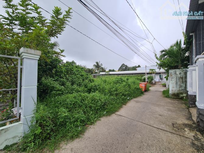 🌳 Cần bán đất nhánh đường PHAN ĐÌNH PHÙNG ( PHÚ DE ), đường đanl xe 7 chổ ra vào.  👍 Vị - 1