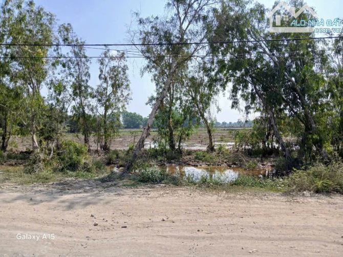 BÁN ĐẤT MẶT TIỀN KÊNH- NGUYỄN VĂN BỨA, HÓC MÔN - 4183M2 NGANG 42M, NỞ HẬU- CHỈ 23.8 TỶ ✔️ - 1