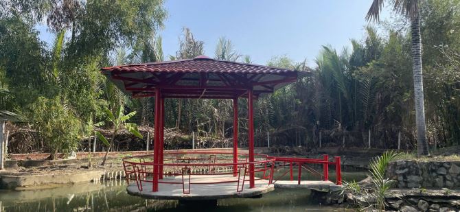 Đất mặt tiền nhà vườn Đại Phước sát TP.HCM Nhơn Trạch giá rẻ 4tr/m,gần sông. SR CHÍNH CHỦ - 1