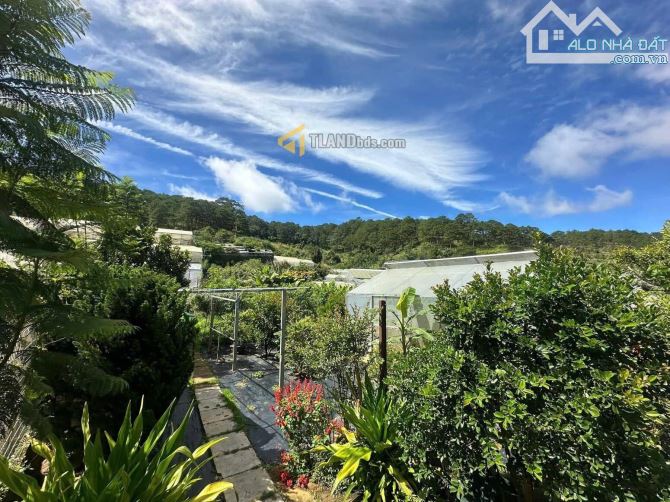 Bán nhà đất Đà Lạt, mặt tiền Triệu Việt Vương, view đẹp, góc 2 mặt tiền thoáng 1135m2 33ty - 1