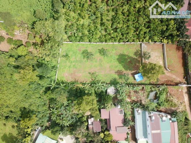 Bán đất 1,5 sào săn 200tc  hẻm 171 Nguyễn Công Trứ trung tâm p2 Tp Bảo Lộc - 1