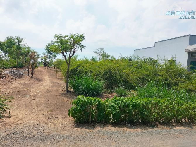 💎 Bán 2500m2 đất xây nhà vườn đường nhựa Xóm Đen, xã Bình Ân, Gò Công Đông - 1