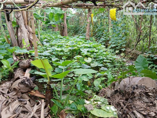 CHỦ CHUYỂN ĐỔI MỤC ĐÍCH BÁN ĐẤT TẶNG NHÀ CỰC SANG.  DT :67,7M, D:21,5M.  GIÁ 3,6 TỶ. VỊ TR - 1