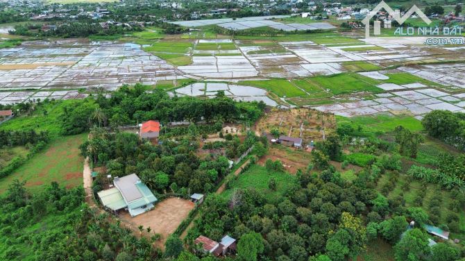 đất sào mát mẻ quanh năm view ruộng trung tâm Cư Suê khu dân cư đông đúc - 1
