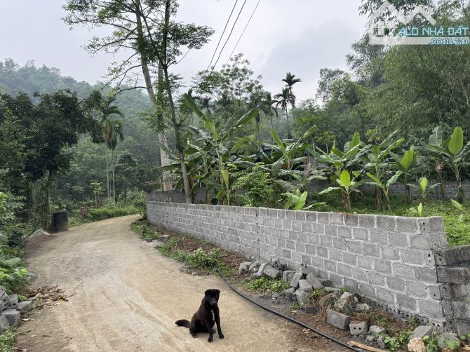 303m Full Đất Ở - Trước Mặt Dự Án Cáp Treo Sun Group Cuối Hạ - Kim Bôi - 1