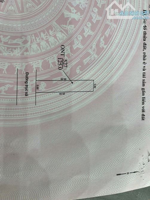 Bá đất mặt tiền trục chính an Phú nam sách cạnh trường cấp 3 nam sách - 1