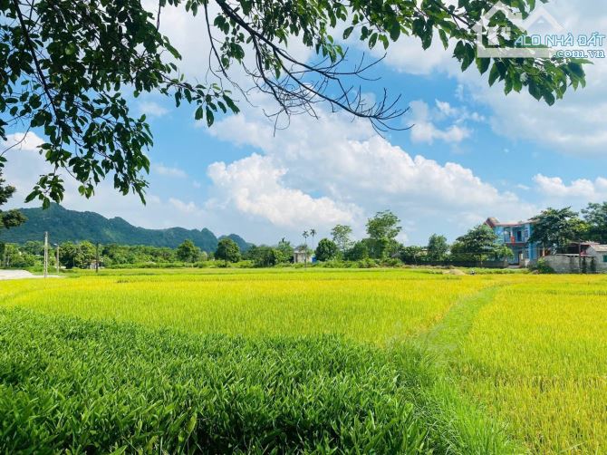 CHỈ 1,x TỶ SỞ HỮU NGAY LÔ ĐẤT DT 300m2 VIEW CÁNH ĐỒNG NÚI ĐÁ TRIỆU ĐÔ, SÁT QH VĐ5 - 1
