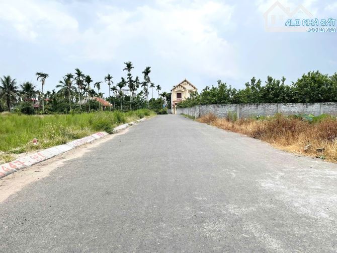 Bán lô đất 120m2 ngang 7,5m đấu giá Tam Kiệt Hữu Bằng Kiến Thụy - 2
