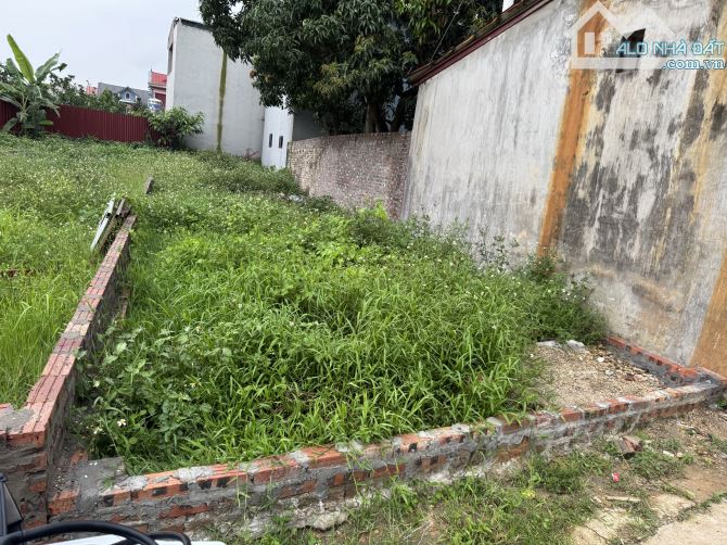 Bán lô đất đẹp Kim Chung, Đông Anh – Mặt tiền 8.6m – Trước mặt công viên - 2