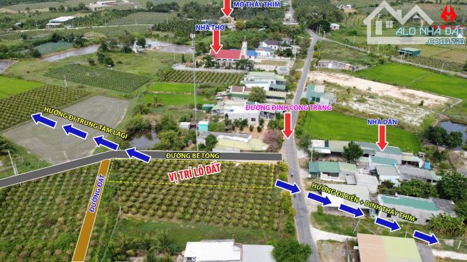 Bán Đất Siêu Đẹp Tại LaGi 578m2 có 111m2 Thổ Cư Gần Biển 3 Mặt Tiền Đường - 2
