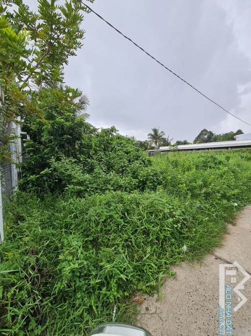 🌳 Cần bán đất nhánh đường PHAN ĐÌNH PHÙNG ( PHÚ DE ), đường đanl xe 7 chổ ra vào.  👍 Vị - 2