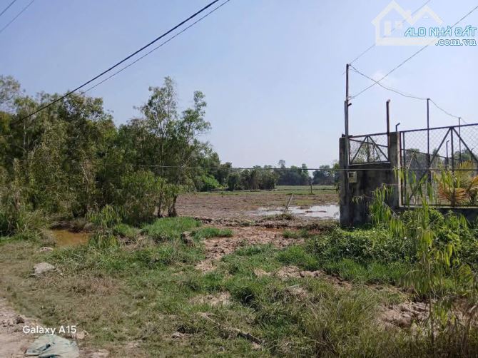 BÁN ĐẤT MẶT TIỀN KÊNH- NGUYỄN VĂN BỨA, HÓC MÔN - 4183M2 NGANG 42M, NỞ HẬU- CHỈ 23.8 TỶ ✔️ - 2