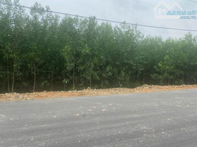 20m mặt tiền đường nhựa rộng 8m,có sẵn 100m2 thổ cư với 1486m2 chỉ với giá 1,9 tỷ - 2