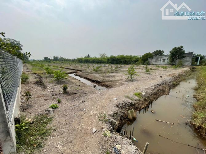 4123m2 đất lúa ấp 10, xã Lương Hòa, Bến Lức, Long An giá 2,9 tỷ - 2