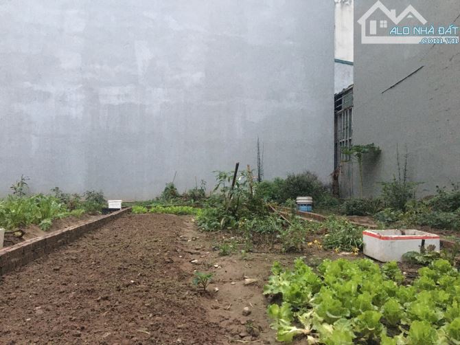 Cực hiếm, bán đất thổ cư Biên Giang, Hà Đông 36.5m2 ô tô đỗ cửa giá 1.99 tỷ - 2
