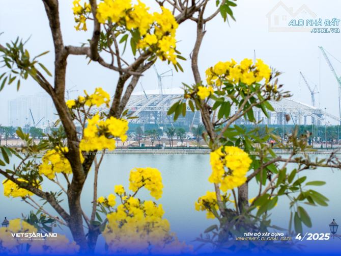 BÁN CHUYỂN NHƯỢNG LIỀN KỀ VINHOME CỔ LOA KHU TN, AD, NN DT:75m2, 80m2, 63m giá 18,5 tỷ