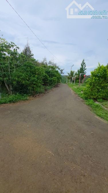 Đất ngộp thôn 2 Tân Lạc, đất full đất ở, view đẹp siêu hiếm chỉ 499 triệu - 2