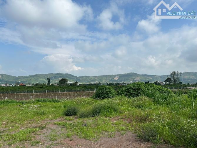 CHỦ GỬI BÁN ĐẤT ĐẸP TẠI LIÊN HIỆP - ĐỨC TRỌNG - LÂM ĐỒNG cách sân bay Liên khương 3km - 2