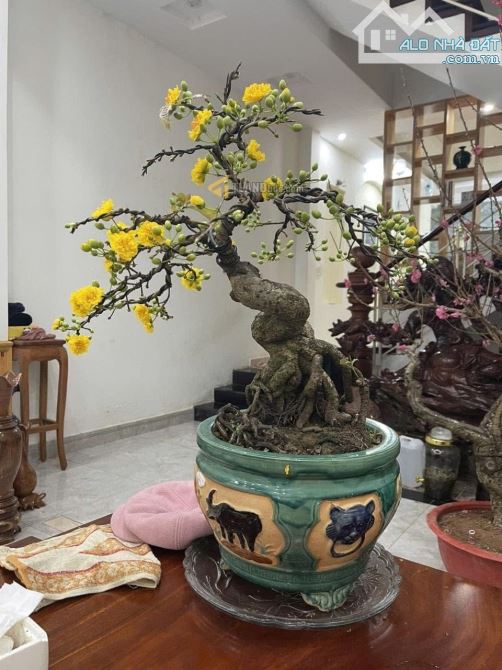 Bán Nhà Tô Hiến Thành P3 - Ô Tô Tận Cửa - 71 m2 - Giá Bán 8 Tỷ - 2