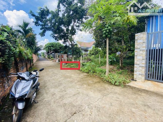 Cần Bán Nhanh Lô Đất Hẻm Cấp 1 Đường Lê Cảnh Tuân Phường Tân Hoà BMT - 2