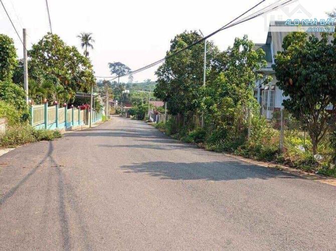 Bán đất 233m2 (6x38) MT Cao Thắng ngay cạnh Resort Đôi Dép Lộc Nga Tp Bảo Lộc Giá 1.8 tỷ - 2
